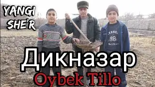 OYBEK TILLO _ DIKNAZAR HAQIDA ! ( ДИКНАЗАР ХАКИДА ! )
