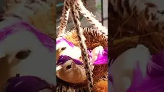 #Handmade bird nest #handcraft #easy work #trending #satisfied #viral #shorts #short #easy #debi