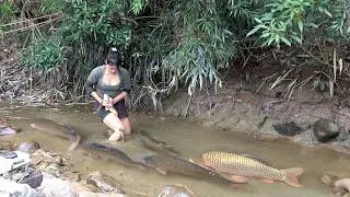 Fishing Technique: Wild Fishing Exciting, How to catch giant fish, Pond Water Fish Catching