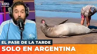 🚨 EL PASE DE LA TARDE con Nico Lantos EN VIVO | El Destape