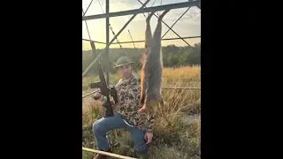 Texas Hill Country Fox hunt
