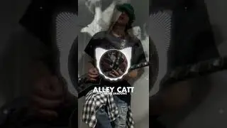 Alley Catt - Chasing Shadows (Official Video)