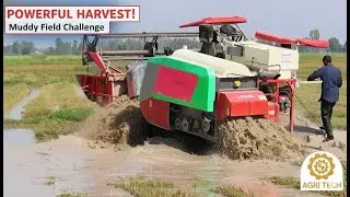 MUDDY FIELD CHALLENGE | LOVOL Harvester's Ultimate Rice Padi Harvest in Wet Conditions
