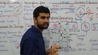 Ch.23 Lec.3 Cloning of Gene  Urdu/Hindi Lecture Fsc, MDCAT, NUMS, Preparation By M Bilal Chaudhary.