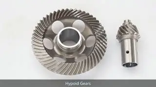 Hypoid Bevel Gear