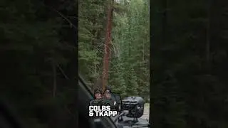 Потрясающие виды гор по дороге в лагерь в Колорадо!