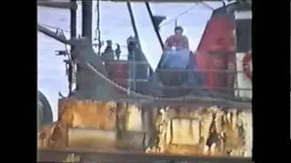 Fraserburgh fishing boat. FR 1