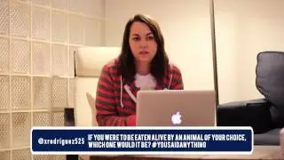 Quinn Marcus takes questions from Twitter