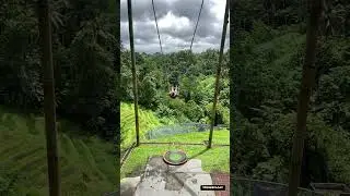 Adventure in Bali | fun | songs |#veeneevlogs #viral #shorts #short #trending #youtubeshorts