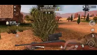 Hunting in American Marksman ￼