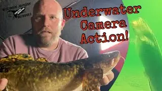 BEAUTIFUL BURBOT! Caught On Underwater Camera!