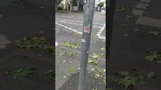 Paderborn 15.6.2025 nach dem Unwetter
