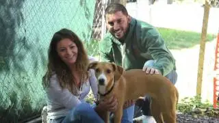 SPCA 2016 Gala Video