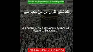 Коран Сура Ан-Намль | 27:6 | Чтение Корана с русским переводом | #quran #qurantranslation