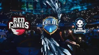 2018 CBLOL Winter W2D1 | RED x PRG Game2 Highlight
