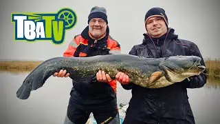 TBA 61 &ndash; Dicke Peenewelse, Svartzonker & Yachtservice R&uuml;gen