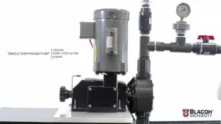 Pulsation Dampeners for Metering Pumps