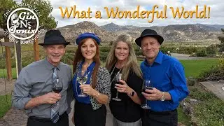 Gin 'NTonix - What a Wonderful World