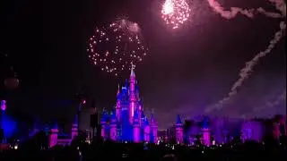 Magic Kingdom fireworks Dec 25, 2025