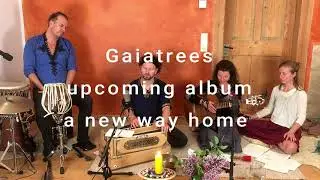 Gaiatrees - a new way home - live snippet - online concert