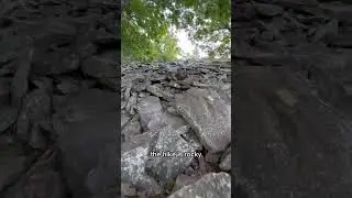 Quick and Challenging - West Summit Trail at Pinnacle Mountain State Park #arkansas #outdoors #hike