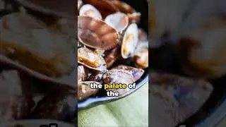 Clam Chowder: A Taste of New England