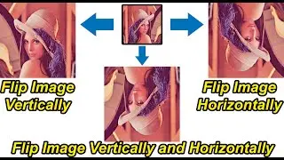 How to flip the Image Using Python | Image Data Augmentation 3 |