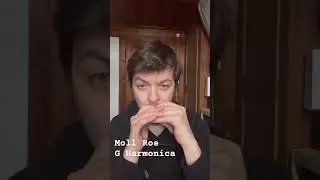 Moll Roe - Irish Harmonica #music #bluesharmonica #cover #harmonica #musician #ireland #irish