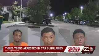 Trio arrested for vehicle burglary spree in The Crest at Naples apartments