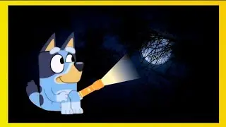 Oooh Shiny! BLUEY Plays with Flashlight 