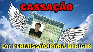 Cassação da PPD (Permissão para Dirigir) Habilitação Provisória