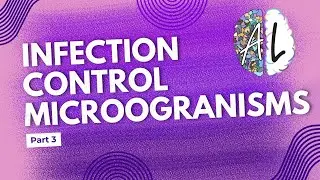 🦠 Microorganisms & Infection: Bacteria, Viruses, Fungi & Parasites Explained! 💊🌿