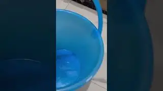 Small bucket from amazon #amazonhaul #smallbucket #bucket #plasticbucket #shorts #youtubeshorts