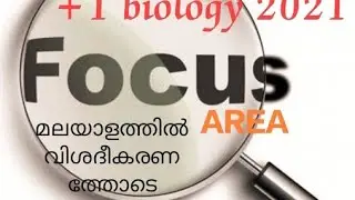 plus one 2021 focus area, leaf , morphology of flowering plants