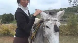 Epic Donkey Riding! Donkey #donkeyriding #reiten #eselreiten #ponyriding #pferd #leder #lederstiefel