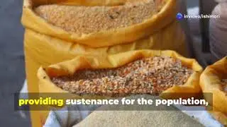 Economic Conditions || Ancient Egypt