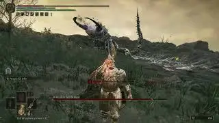 ELDEN RING™. DLC (29)