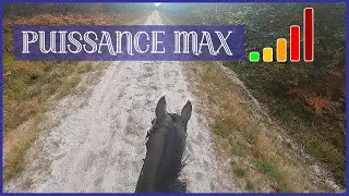 JE POUSSE BALY A FOND AU GALOP SUR 1KM ! - Il avait vraiment besoin de &ccedil;a 5/7