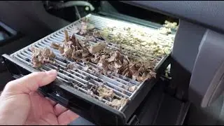 Change Your Car's Cabin Filter? It had a Mouse Nest on it!