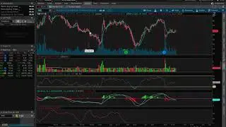 $TLRY $ACIU $CLD $SLDB $SPY $NVDA MARCH 3RD SUNDAY STOCK TALK