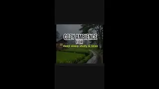 Peaceful Rainy Village Cabin 🌧️🌾 | Cozy Rice Field Ambience for Deep Sleep, Study & Relax