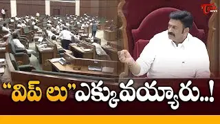 Deputy Speaker Raghurama Krishna Raju Satirical Comments | 