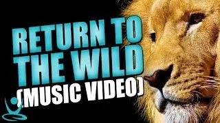 👫 Tobu - Return To The Wild (🎵 EDM Music Video 🎥)