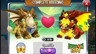 NEW BREEDING: Reason Dragon & Clarity Dragon [EXCLUSIVE BREEDING DRAGON]