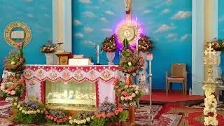 santhom province eluru Live Stream