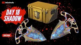 Opening a CS:GO shadow case until i get shadow daggers   DAY #18
