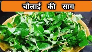 CHAULAI SAAG #Recipe#healthy#cooking#