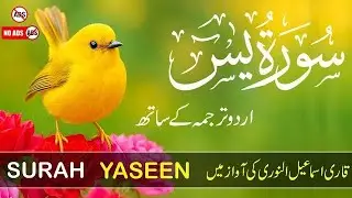 Surah Yaseen (Yasin) with Urdu Translation | SURAH YASEEN BEAUTIFUL RECITATION | سورہ یاسین
