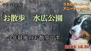 今日の名古屋 お散歩 水広公園 今年最後のお散歩です　2025.12.31.
