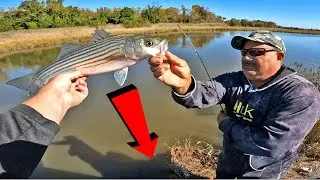 Striped Bass Fishing in Delaware